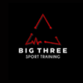 Big Three 